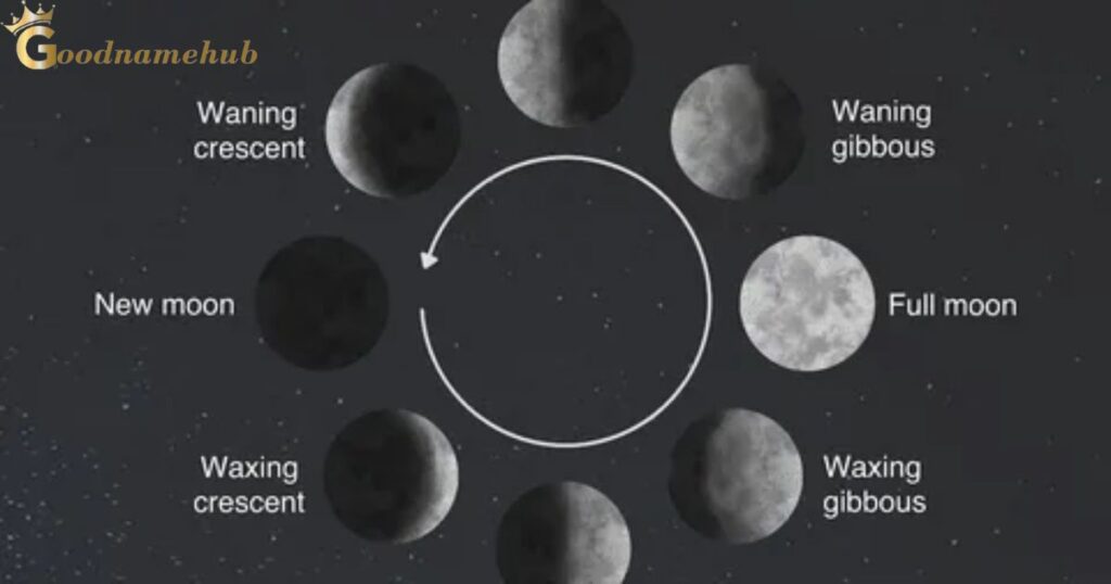  Moon Meaning By Last Japanese Names